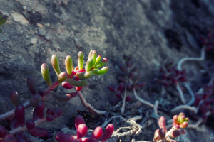 再见武汉三镇，他选择远走他乡，球迷不舍含泪送别