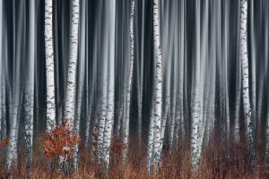F1巨星倾情吐露心声，赛道之外的另一面等你揭秘！