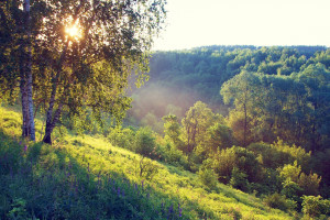 打破常规！无畏契约城市巡回赛，创新玩法引爆话题！